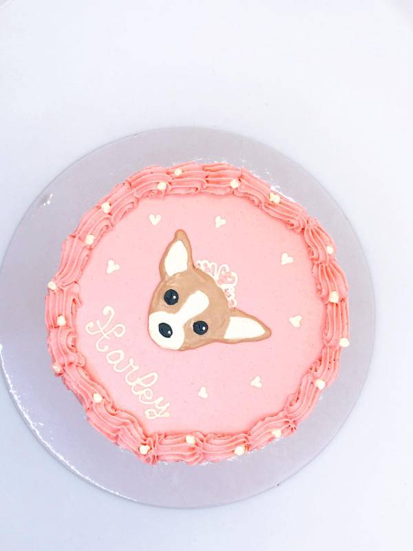 Customized Dog Cake - Image 11