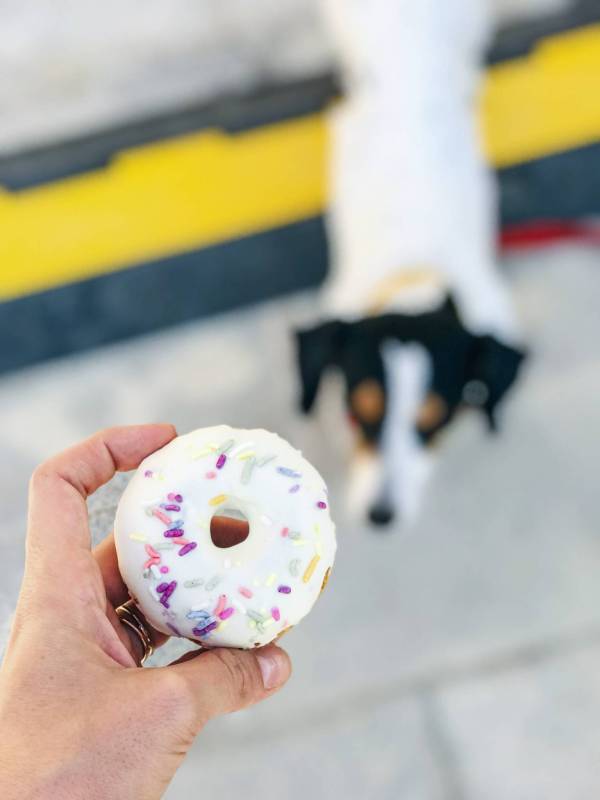 dog bakery dog donut dog treats