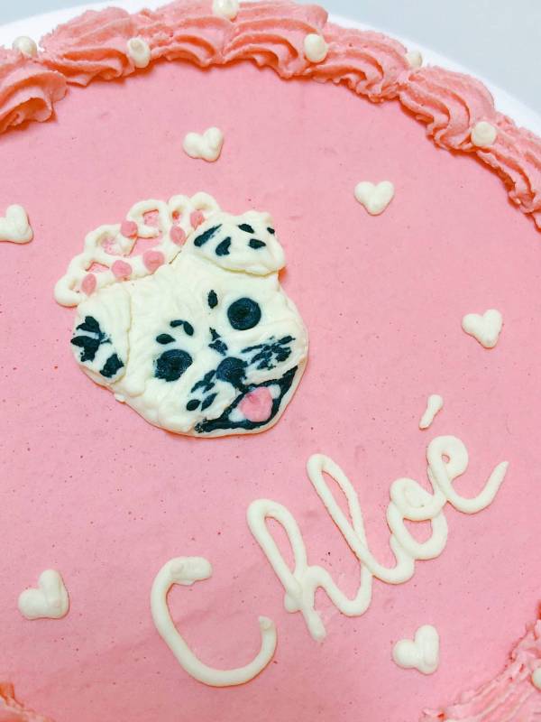 Customized Dog Cake - Image 20