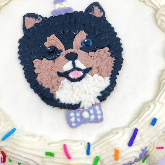 customized dog cake - hand painted dog face on cake