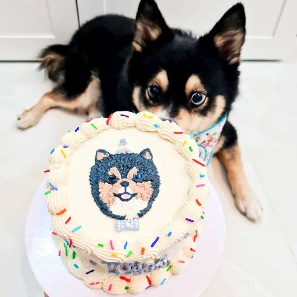 Customized Dog Cake - Image 2