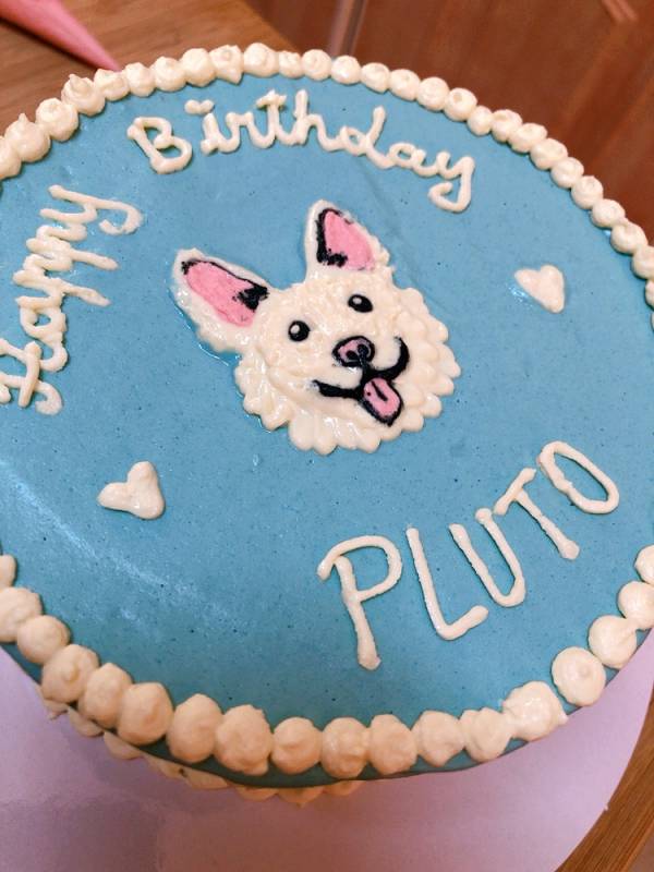 Customized Dog Cake - Image 25