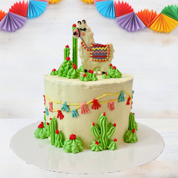 Alpaca Fiesta Cake for dog birthdays - Hakuna Matata Dog Treats and Cakes